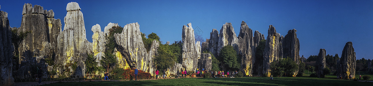 石林石头全景背景图片