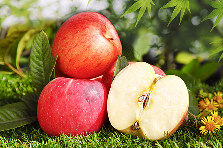 苹果苹果背景红苹果高清图片