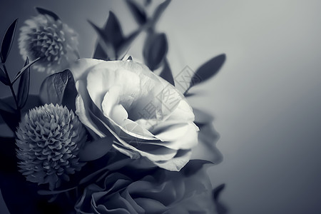 黑白复古玫瑰花束背景背景