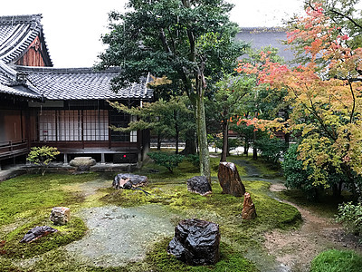 古风枫叶日本京都日式庭院背景