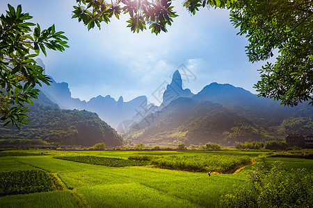 江南田园背景图片