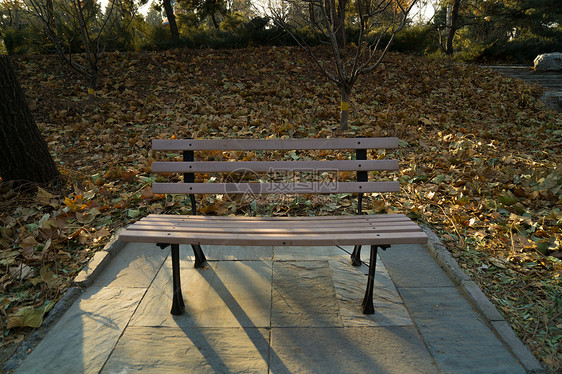 公园里的椅子图片
