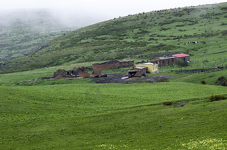 新疆塔城牧场草场风光背景图片
