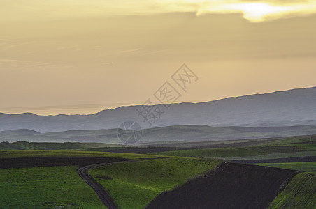 新疆塔城牧场草场风光背景图片