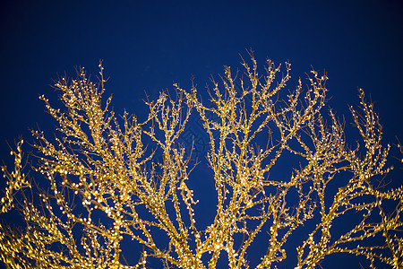 金黄色的圣诞树背景图片