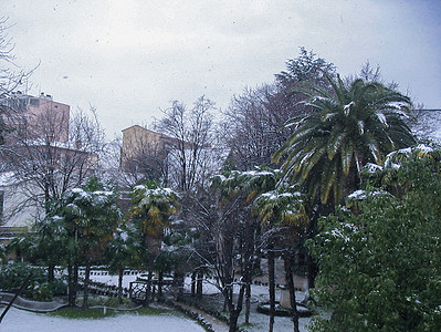 南法冬天下雪了背景图片