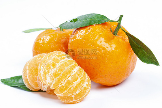 小橘子图片