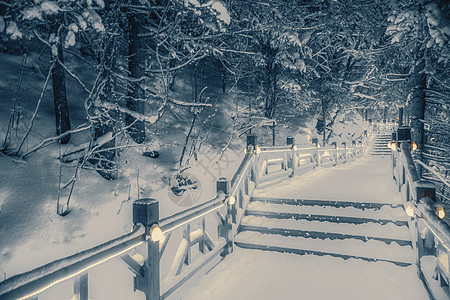 夜晚森林雪景图片