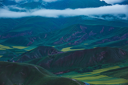 青稞田青海卓尔山背景