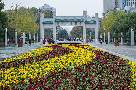 校门国立武汉大学背景