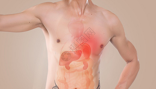 男性人体男性肠胃健康设计图片