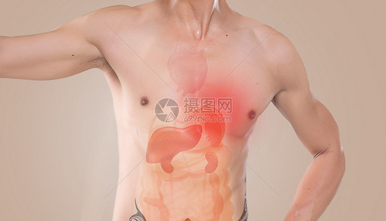 男性肠胃健康图片