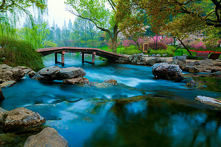 生机一池春水流背景