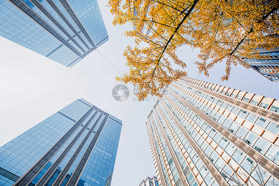 现代城市建筑图片