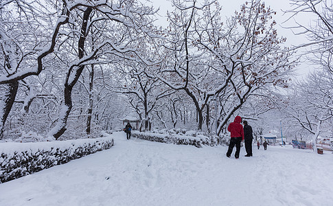 冬天被大雪覆盖的公园景观高清图片