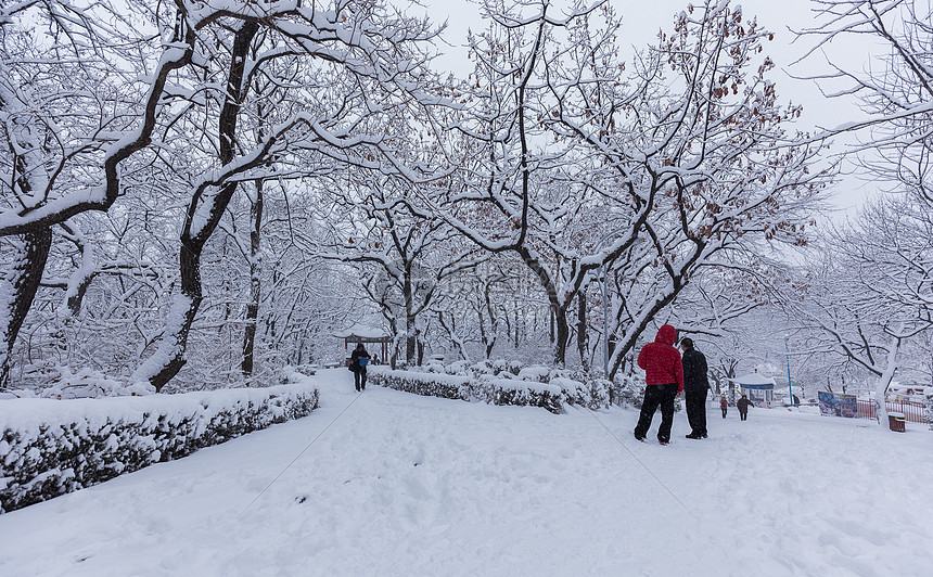 冬天被大雪覆盖的公园景观图片