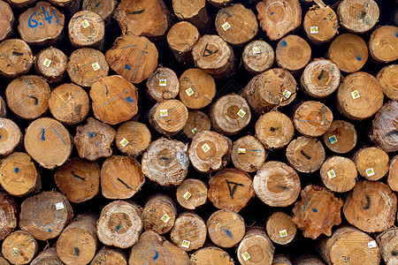 一堆木材伐木场素材背景背景