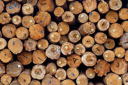 伐木场素材背景图片