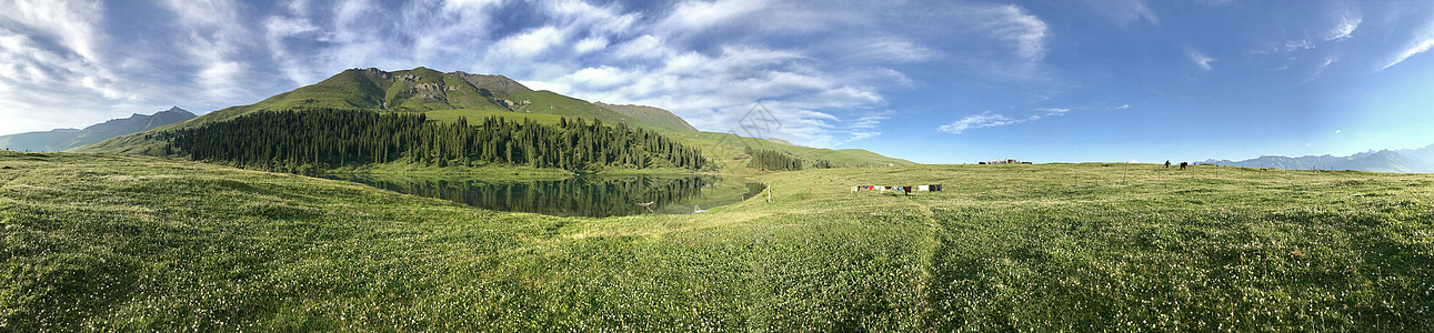 新疆草原唐布拉风景区仙女湖全景背景