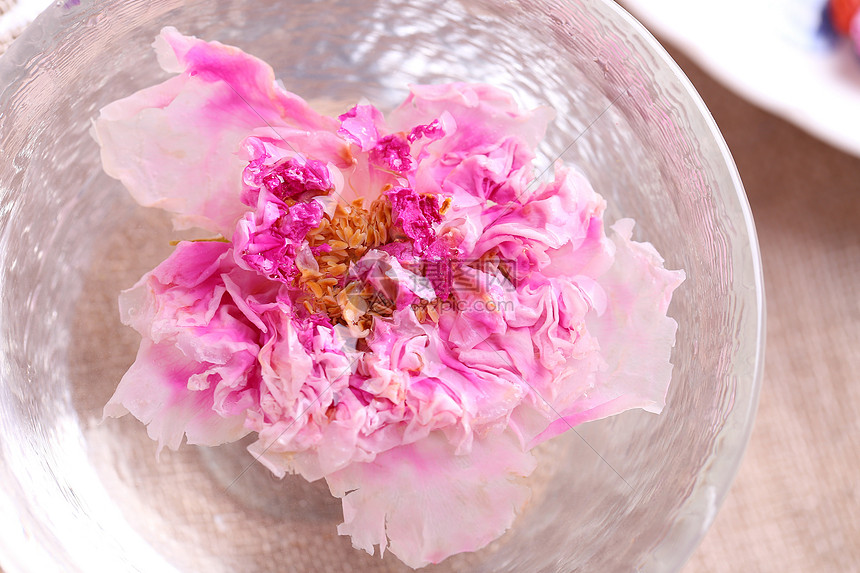 粉色菊花茶高视角展示图图片