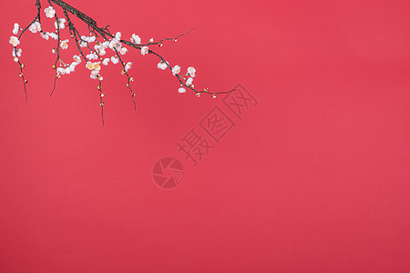 背景新年新春桃花红色背景背景