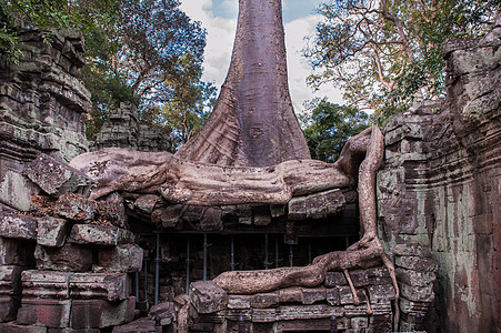 柬埔寨塔布隆寺图片