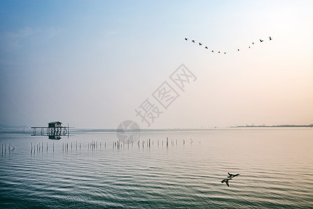 充满生机活力的海边景色图片