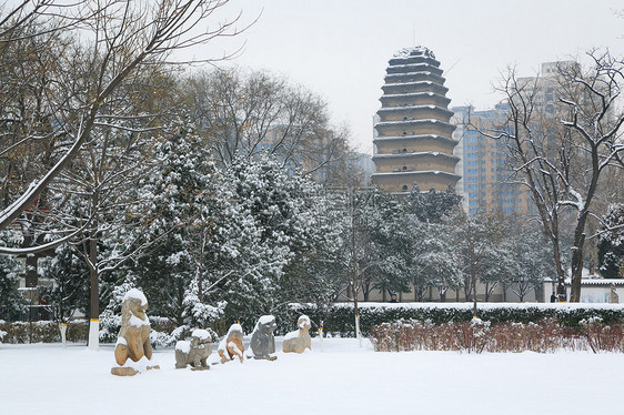 雪后小雁塔图片