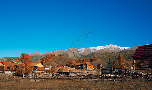 新疆禾木民居图片