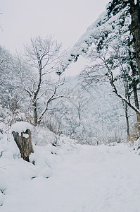 大雪养生冬季雪景道路背景