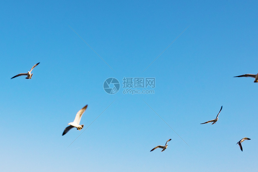 飞鸟体育最新新闻消息曝光顶级运动员签约内幕引发热议