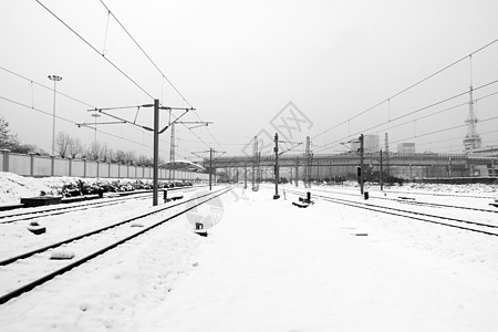 大雪后的雪景图片