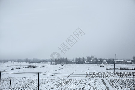 大雪后的雪景图片