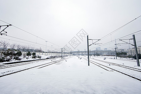 大雪后的雪景图片