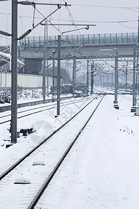 大雪后的雪景图片