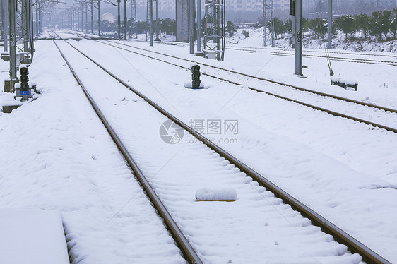 大雪后的雪景图片