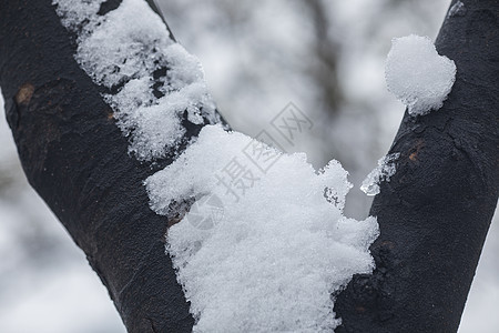 大雪后的城市背景图片