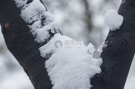 大雪后的城市图片