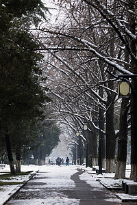 大雪后的城市道路图片