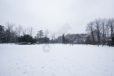 大雪后公园大雪后的公园背景