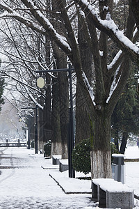 大雪后道路图片
