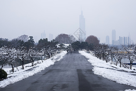 大雪后的城市图片