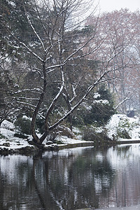 下雪后的风景图片