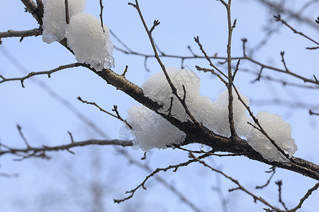 大雪后的城市背景图片