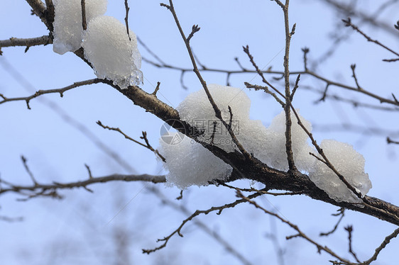 大雪后的城市图片