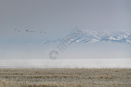 新疆背景图片