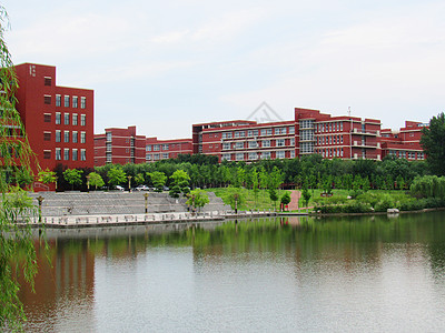 塔里木大学 全景图图片