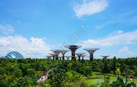 新加坡滨海湾公园背景图片