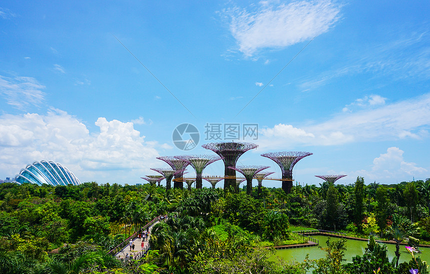 新加坡滨海湾公园图片