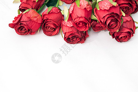 情人节的玫瑰花图片